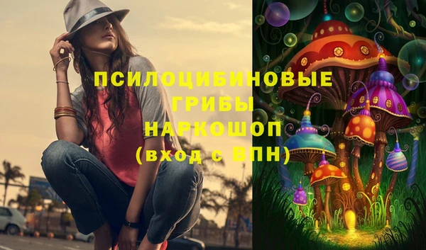ALPHA PVP Иннополис