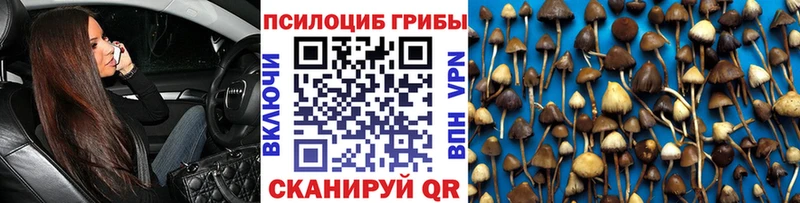 Купить где  Евпатория  Псилоцибиновые грибы Magic Shrooms 