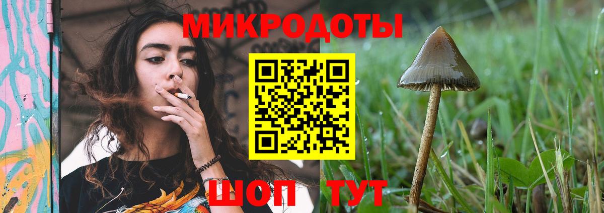 Евпатория  Галлюциногенные грибы мицелий  Вход с VPN 