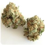 Шишки "White Widow"  (Белая вдова)  Гидропоника -  Бошка VHQ в Евпатории