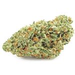 Шишки OG Kush  (Гидропоника, бошки) VHQ в Евпатории